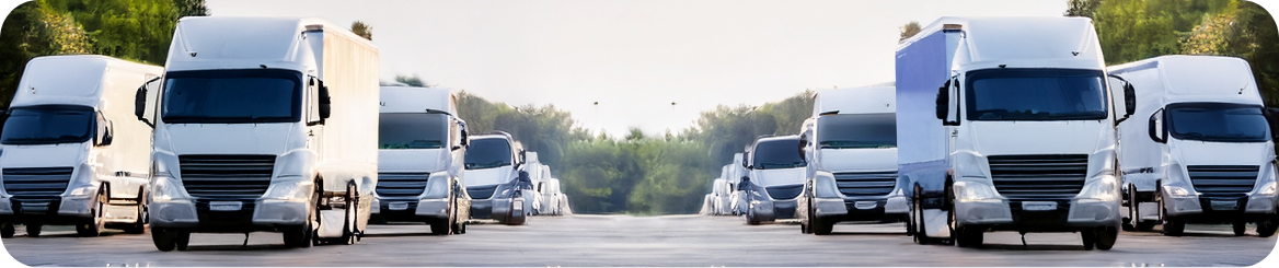 Camiones asegurados para transporte y logística en CDMX y Querétaro